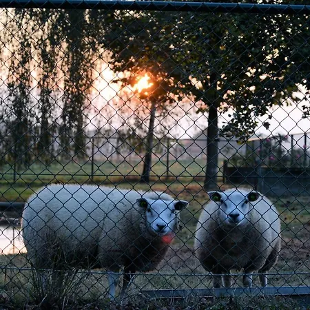 Keyserbosch-hof Prázdninový dům *