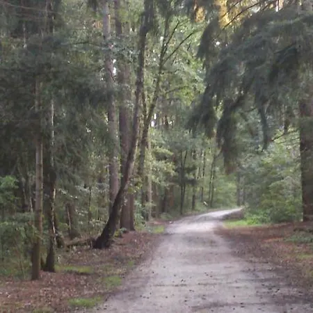 Keyserbosch-hof Prázdninový dům Neer