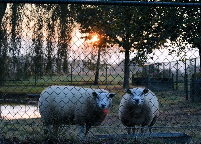 Keyserbosch-hof Vakantiehuis *