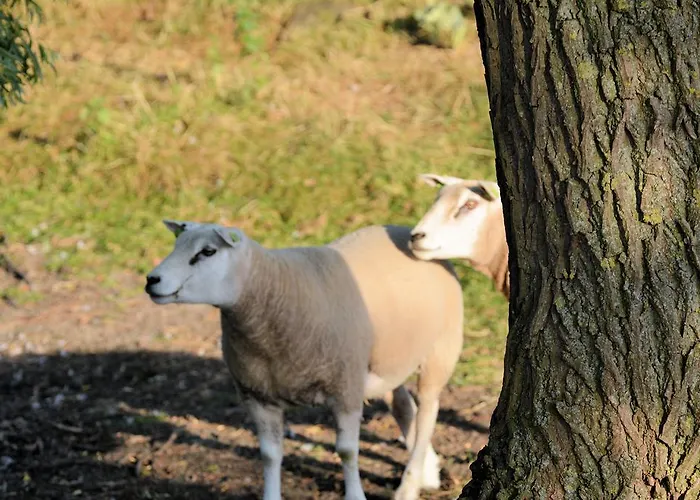 Дом отдыха Keyserbosch-hof *