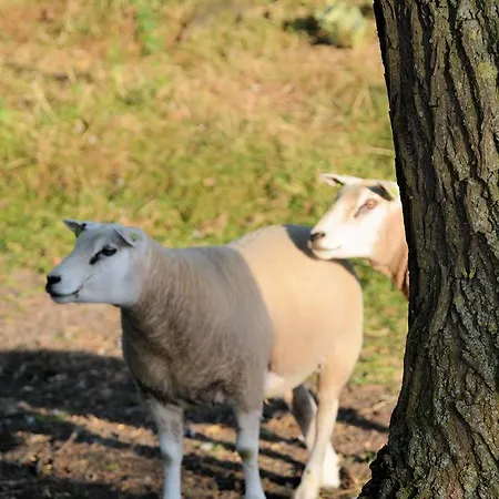 Casa vacanze Keyserbosch-hof *